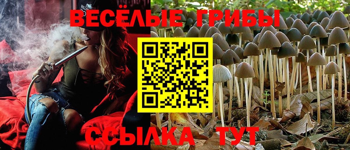 МЕТАМФЕТАМИН  Каннабис  КОКАИН  Лесной  Вход с VPN  Codein  Мефедрон кристаллы  А ПВП СОЛЬ кристаллы 