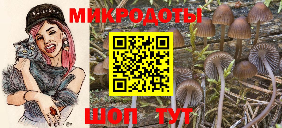 Галлюциногенные грибы Cubensis  Псилоцибиновые грибы Psilocybe  Вход с VPN  Лесной 