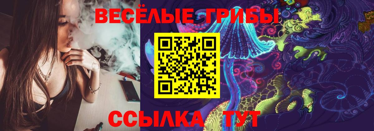 Галлюциногенные грибы Cubensis Лесной